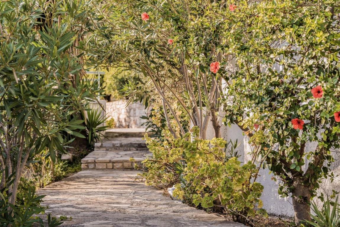 Vigla-Βίγλα 1 2 Vila Ormos  Exterior foto