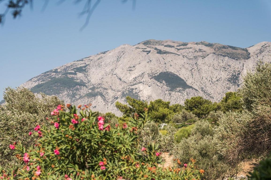 Vigla-Βίγλα 1 2 Vila Ormos  Exterior foto