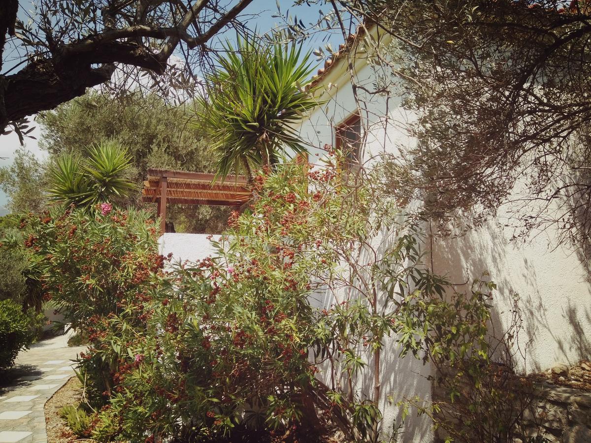 Vigla-Βίγλα 1 2 Vila Ormos  Exterior foto