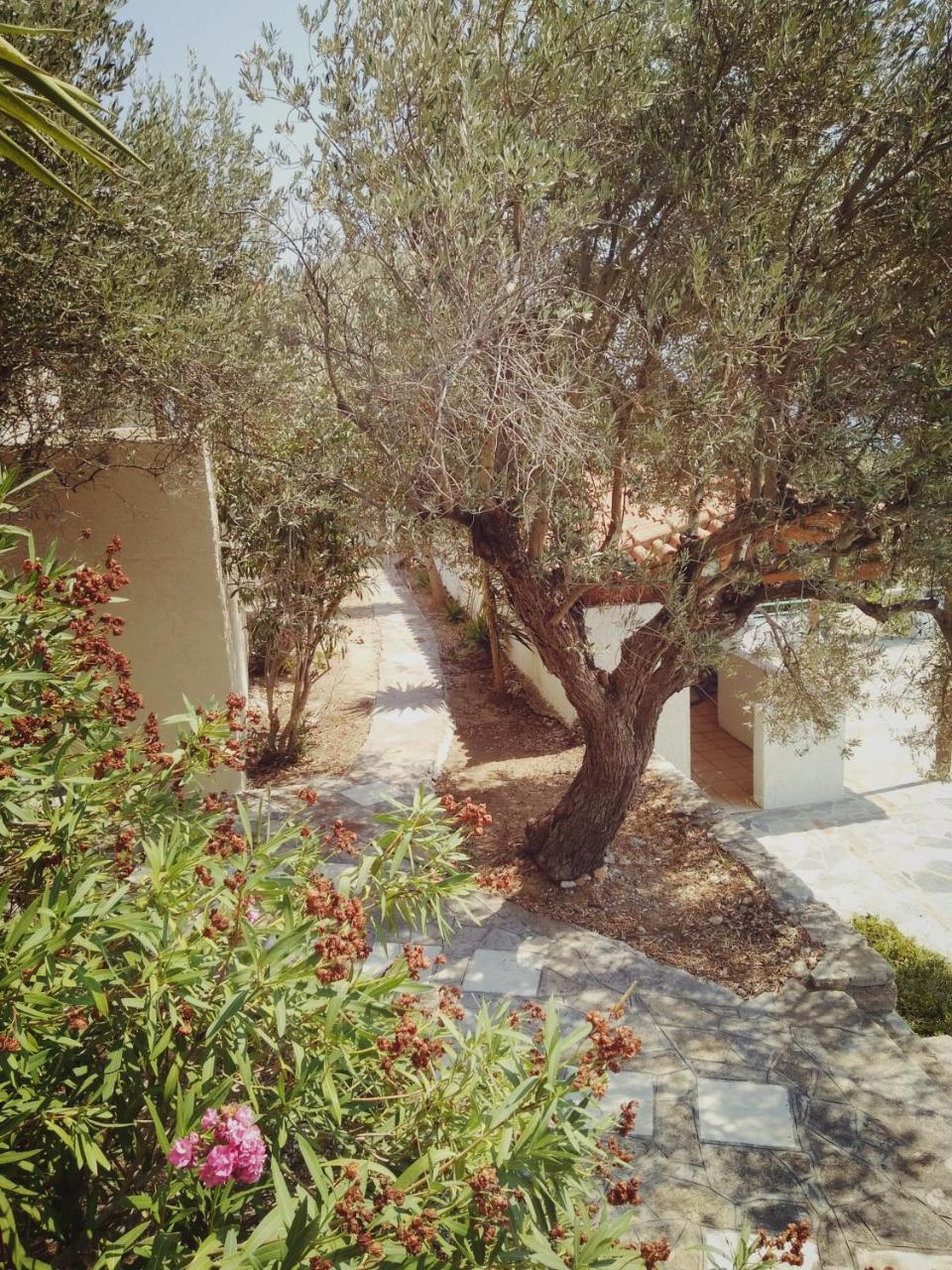 Vigla-Βίγλα 1 2 Vila Ormos  Exterior foto