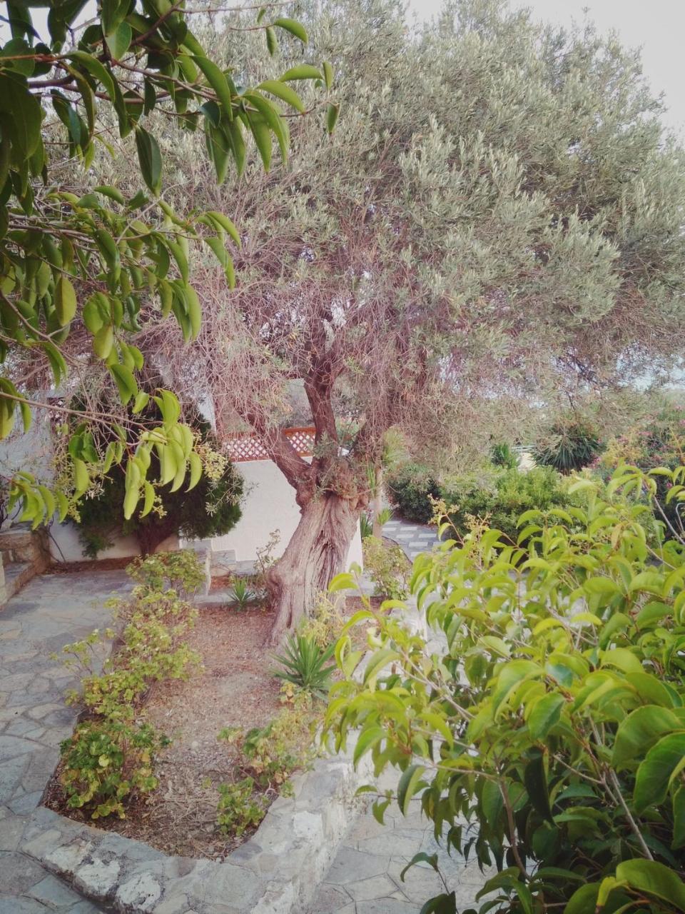 Vigla-Βίγλα 1 2 Vila Ormos  Exterior foto