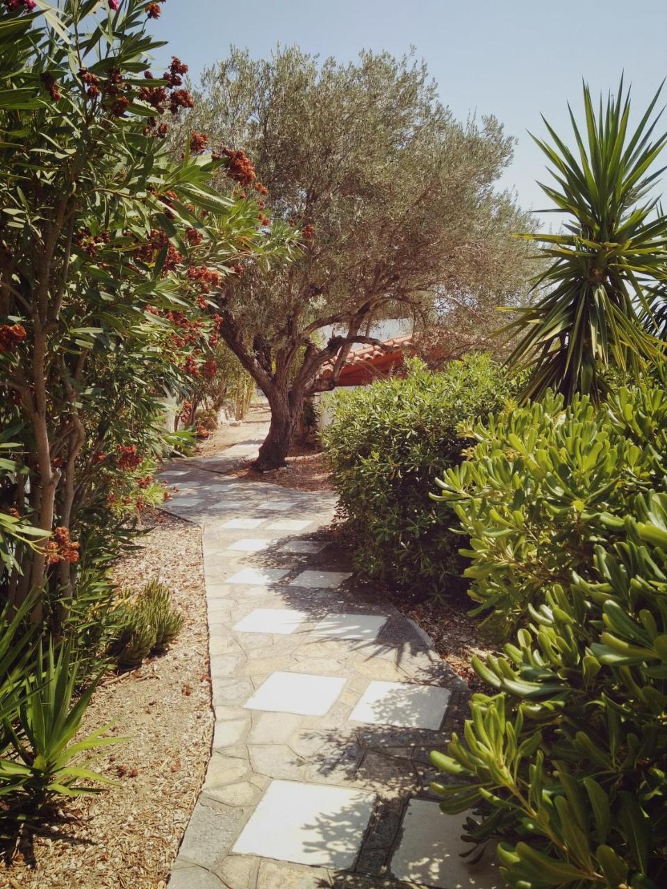 Vigla-Βίγλα 1 2 Vila Ormos  Exterior foto