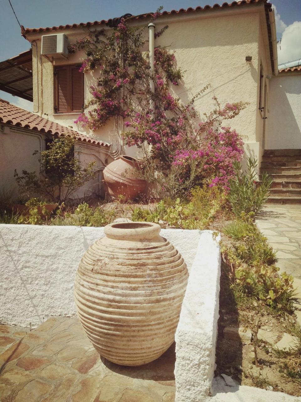 Vigla-Βίγλα 1 2 Vila Ormos  Exterior foto